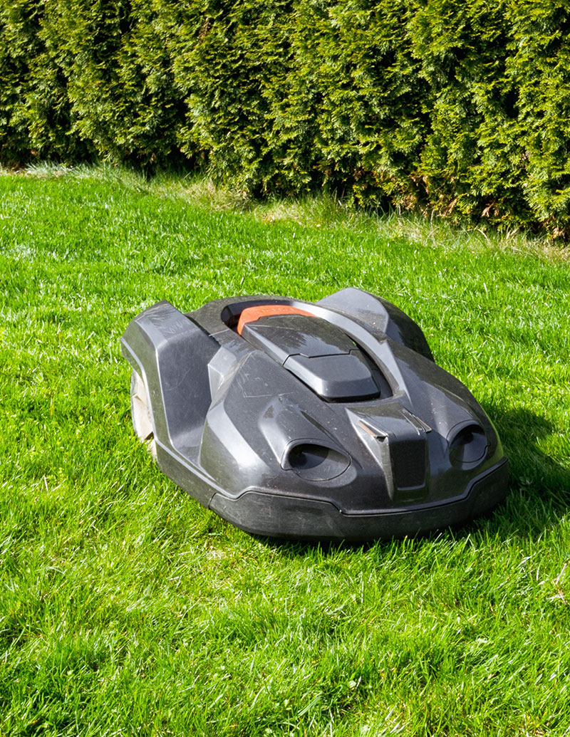 Garten_hf
